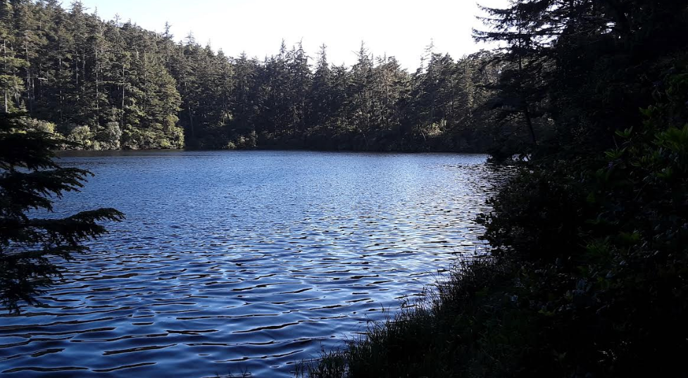 Camper-submitted photo at Umpqua Lighthouse State Park Campground near Reedsport, OR