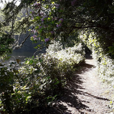 Review photo of Umpqua Lighthouse State Park Campground by Ryan W., August 20, 2019