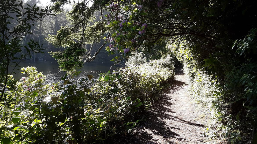 The trail around Lake Marie was well groomed but not so much so that you wouldn't feel at one with nature.