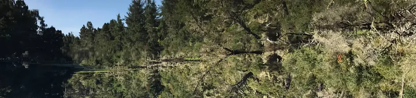 Camper-submitted photo at Lagoon Campground near Florence, OR