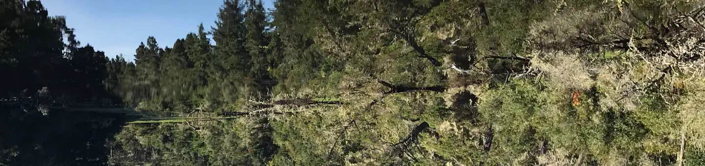 Camper submitted image from Lagoon Campground - 1