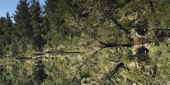 Camper submitted image from Lagoon Campground