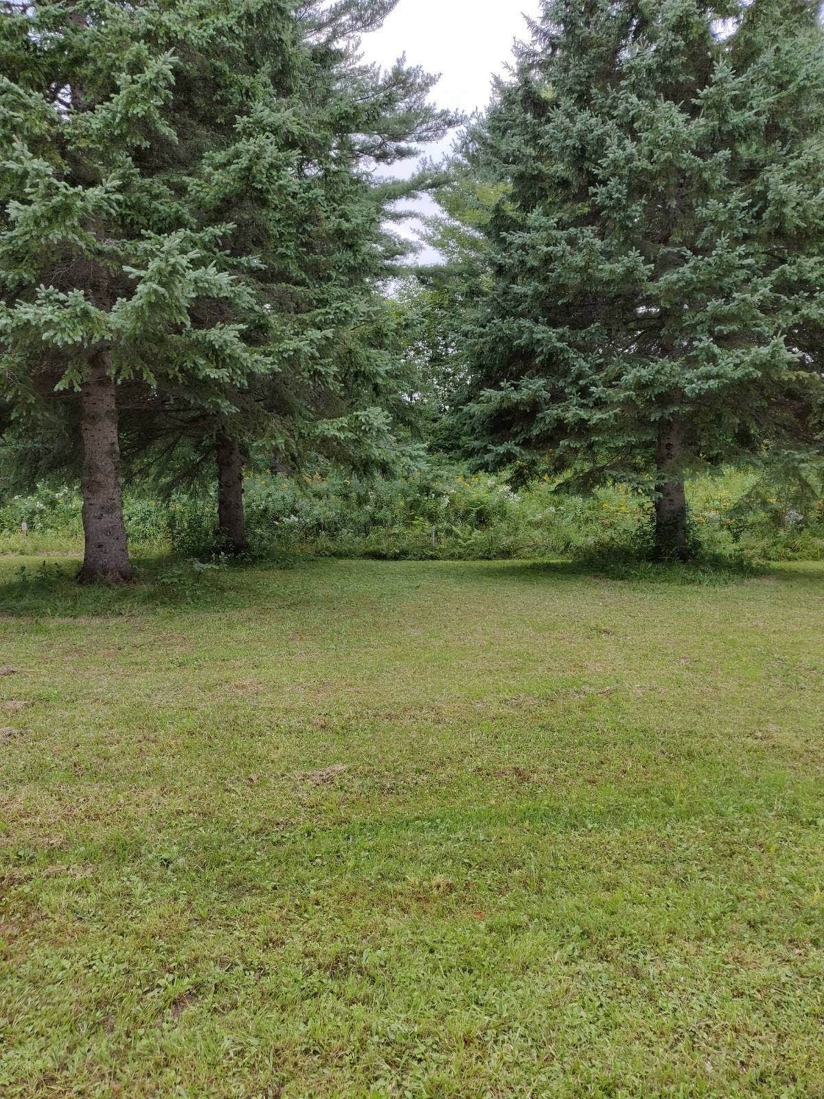 Camper-submitted photo at Alpine Campground & RV Park near Bayfield, WI