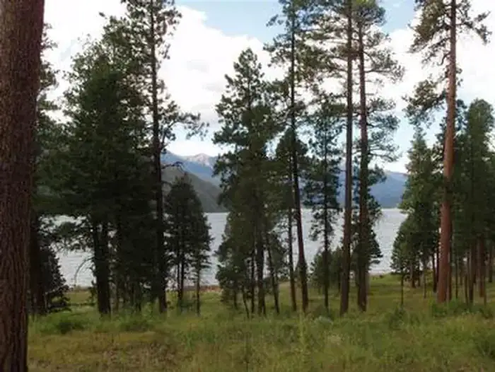 Camper-submitted photo at Graham Creek Campground near Bayfield, CO
