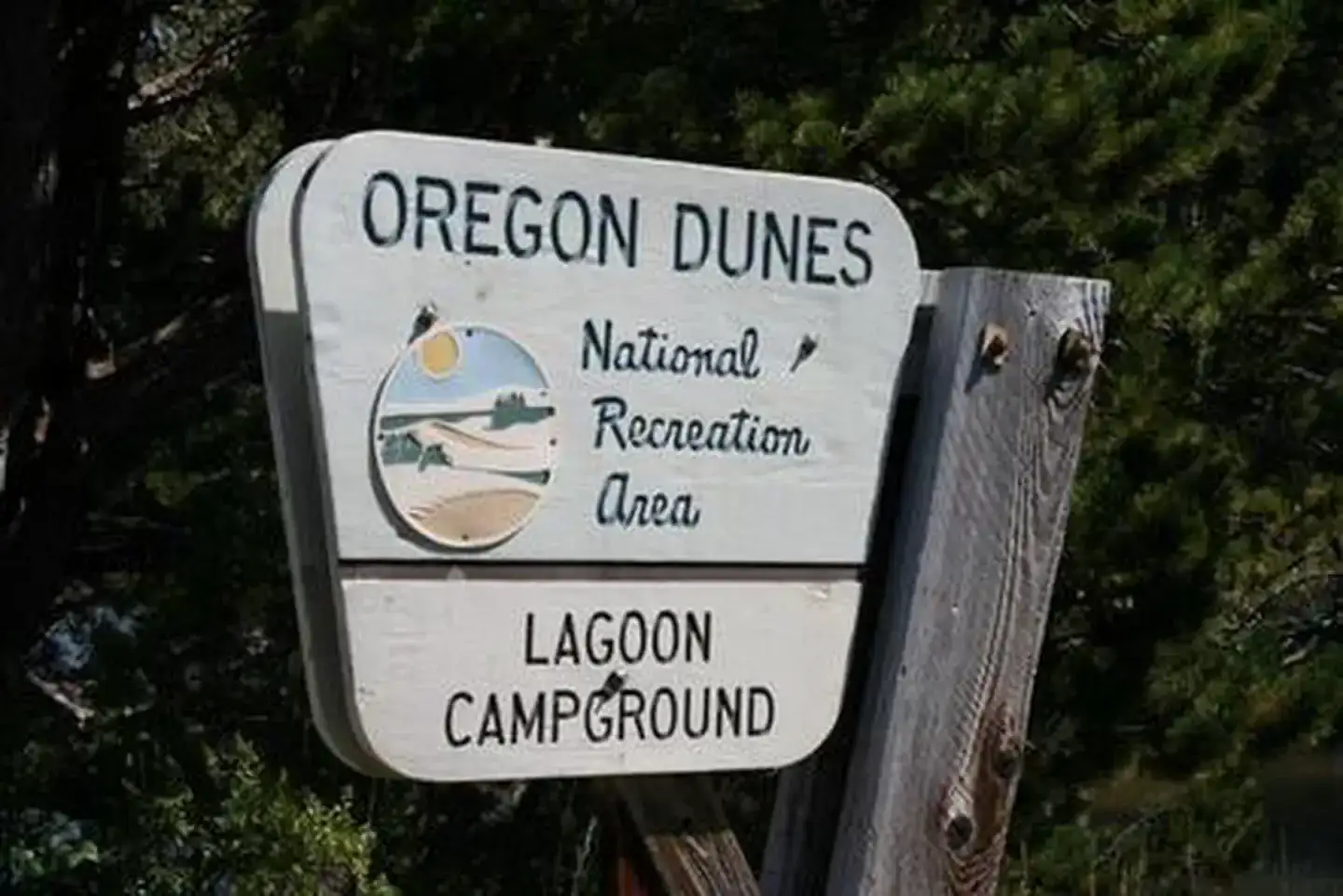 Camper-submitted photo at Lagoon Campground near Florence, OR