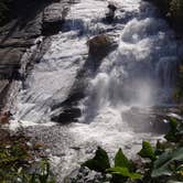 Review photo of Davidson River Campground by Dave V., September 27, 2016