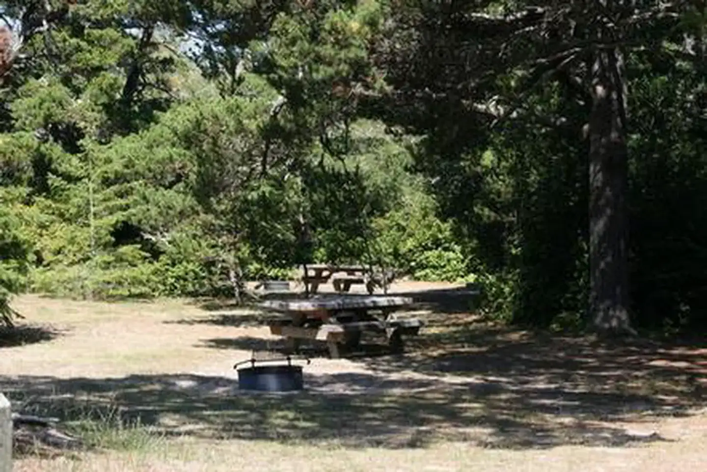 Camper-submitted photo at Lagoon Campground near Florence, OR