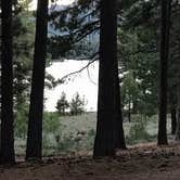 Review photo of Grasshopper Flat by Alisen O., August 20, 2019