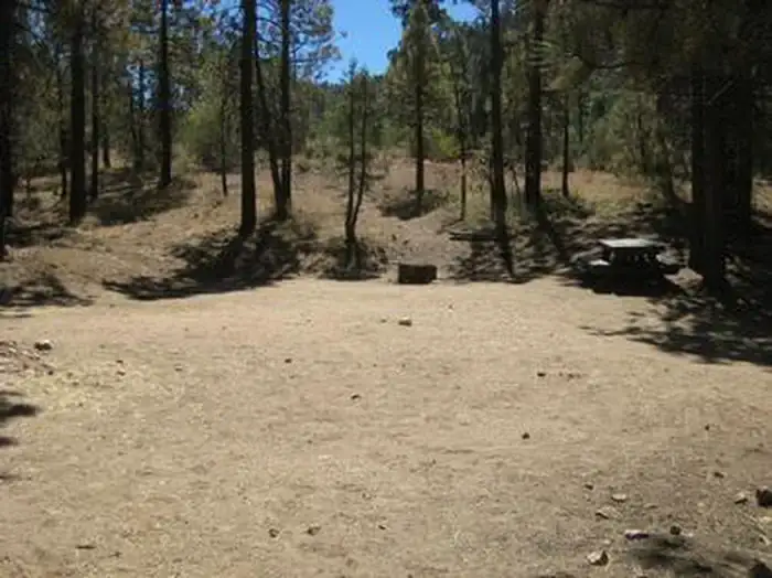 Camper-submitted photo at San Bernardino National Forest Wild Horse Equestrian Campground near Forest Falls, CA