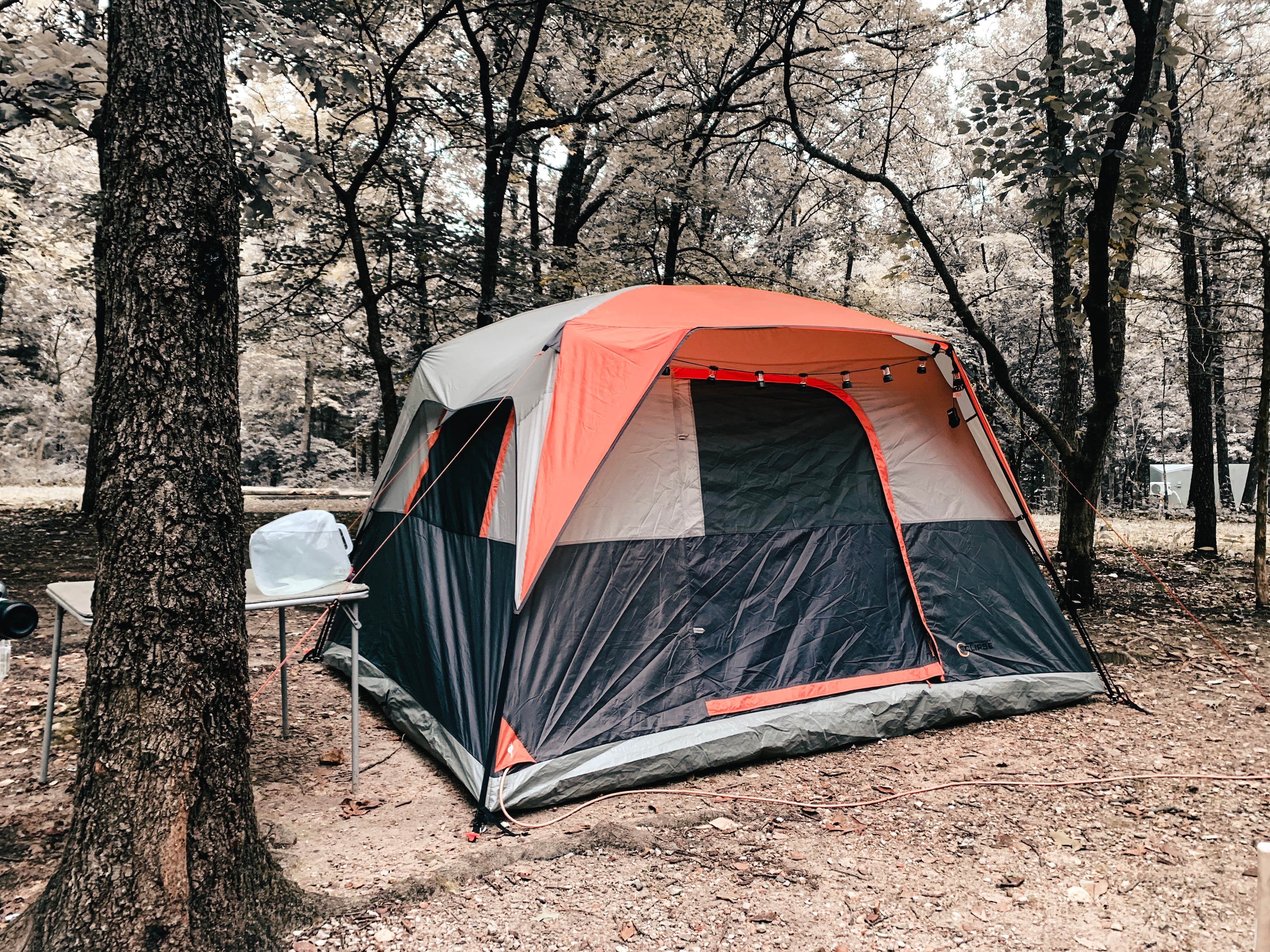 Savannah T.'s photo at Bennett Spring State Park Campground near Strafford, MO