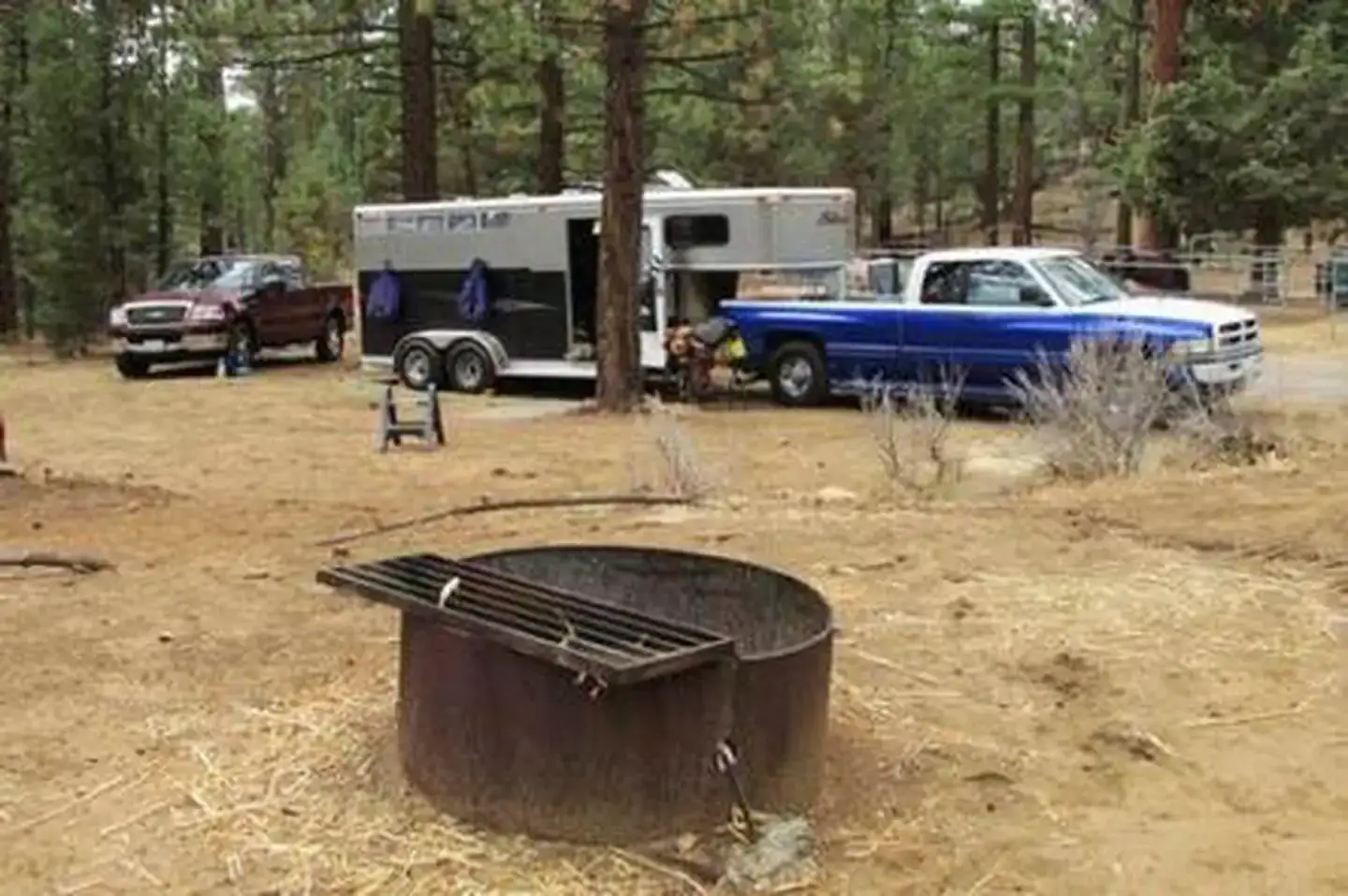 Camper-submitted photo at San Bernardino National Forest Wild Horse Equestrian Campground near Forest Falls, CA