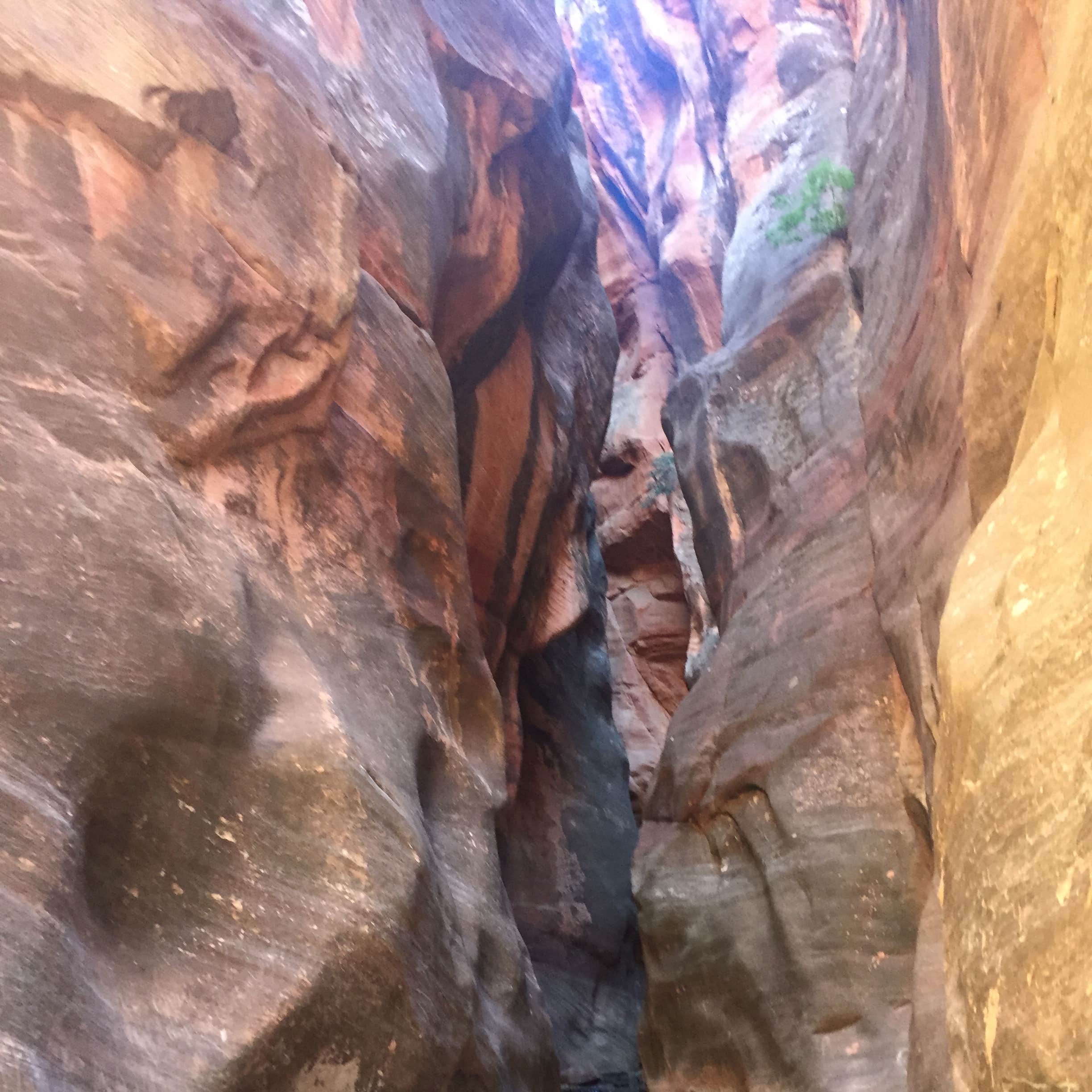 Red Ledge RV Park Camping The Dyrt