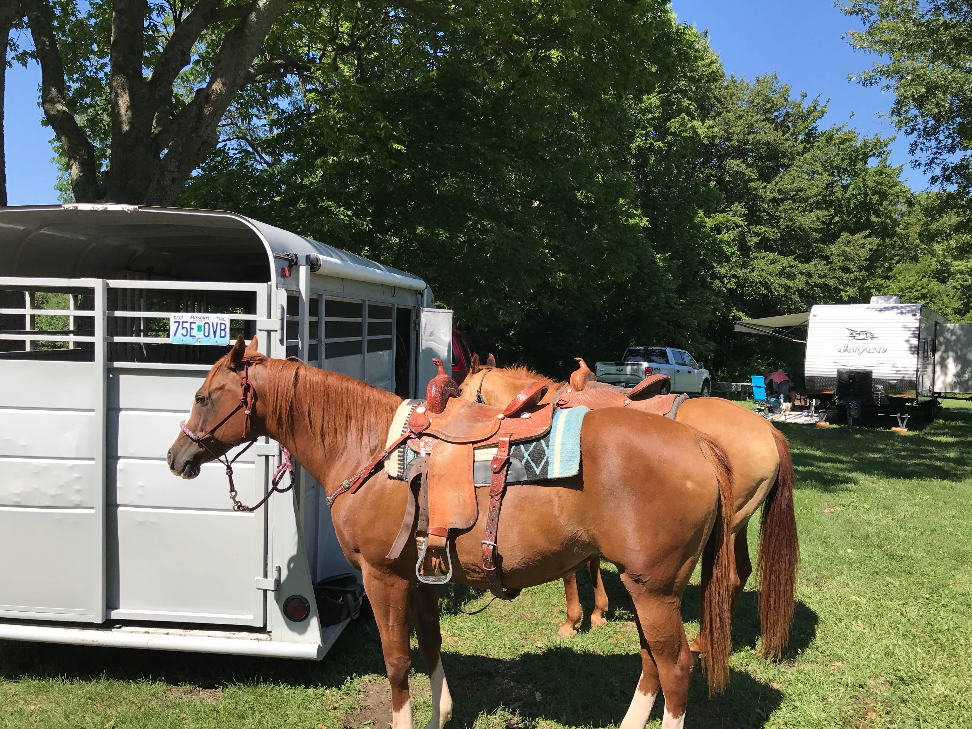 Savannah T.'s photo of camping with a horse at Crow's Creek Campground near Overland Park, KS