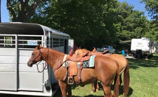 Savannah T.'s photo of camping with a horse at Crow's Creek Campground near Lake Lotawana, MO