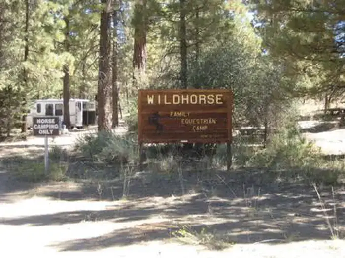 Camper-submitted photo at San Bernardino National Forest Wild Horse Equestrian Campground near Forest Falls, CA