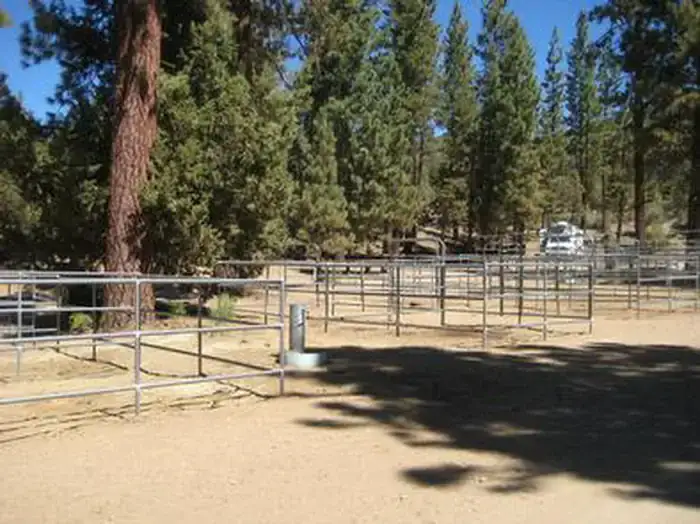 Camper-submitted photo at San Bernardino National Forest Wild Horse Equestrian Campground near Forest Falls, CA