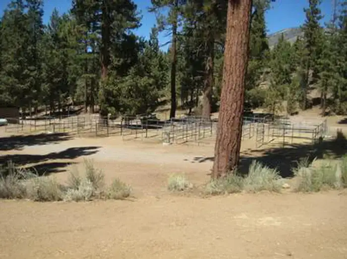 Camper-submitted photo at San Bernardino National Forest Wild Horse Equestrian Campground near Forest Falls, CA
