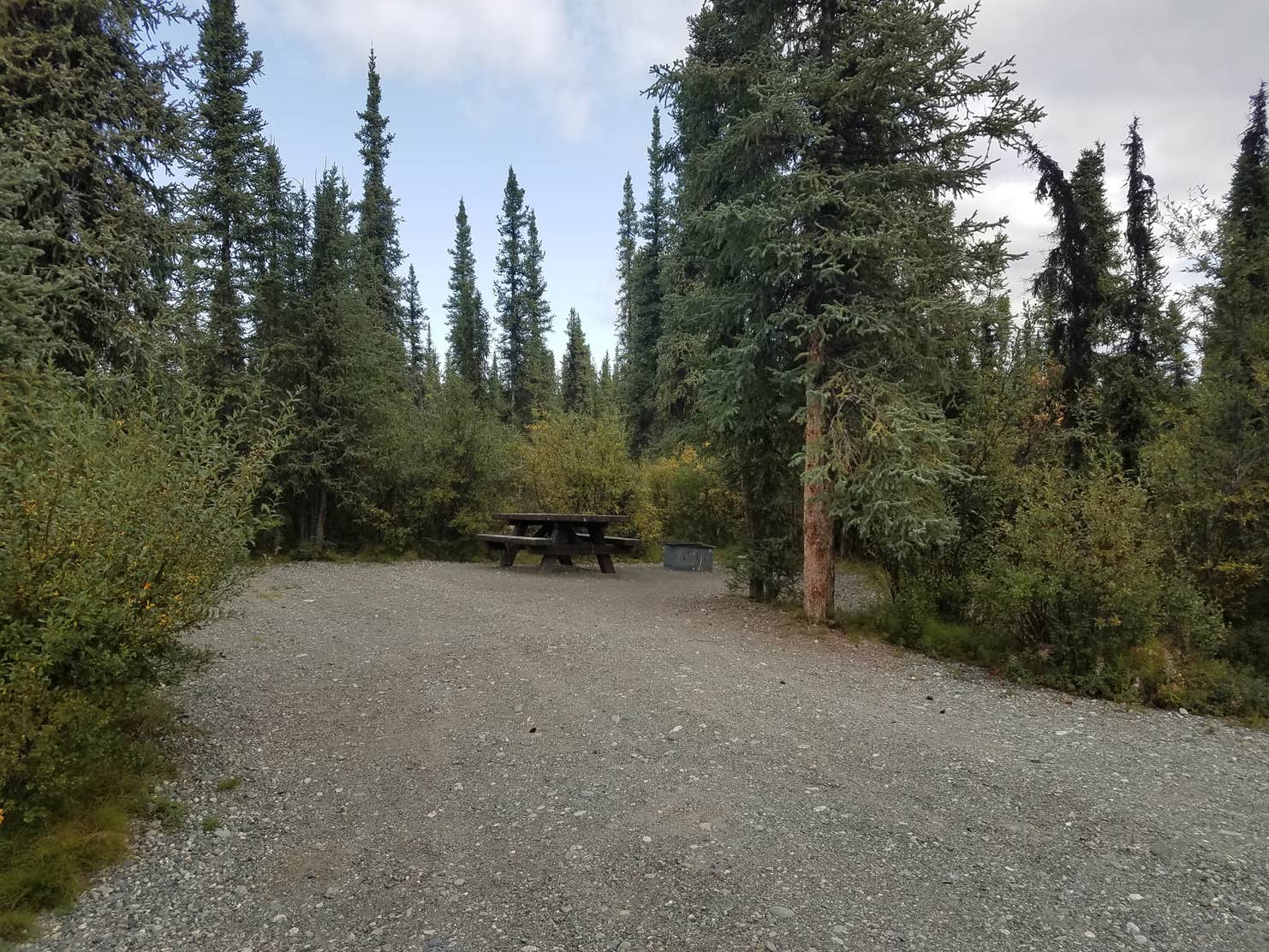 Paxson Lake (BLM) The Dyrt