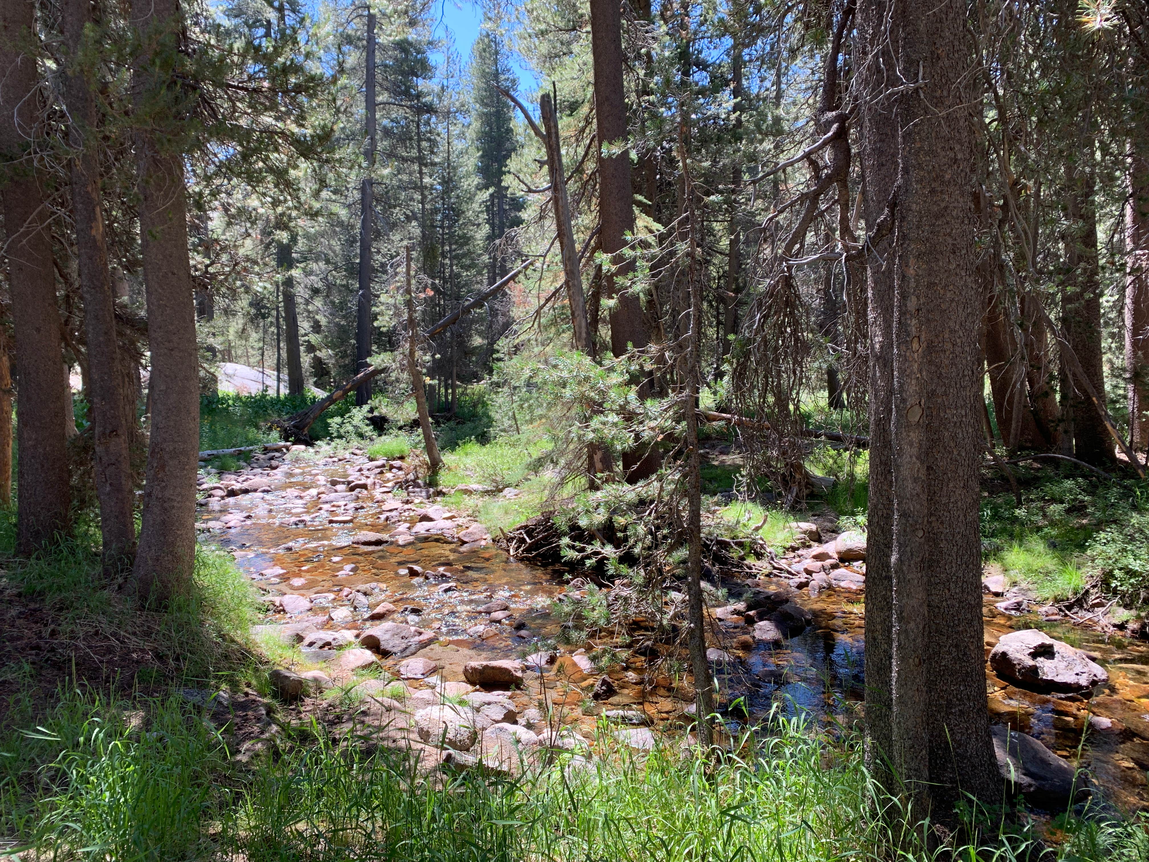 Camper submitted image from Glen Aulin High Sierra Camp — Yosemite National Park - 2