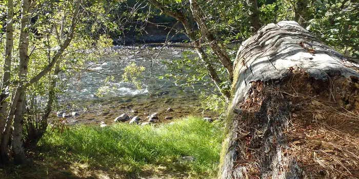 Camper submitted image from Cottonwood Campground (WA)