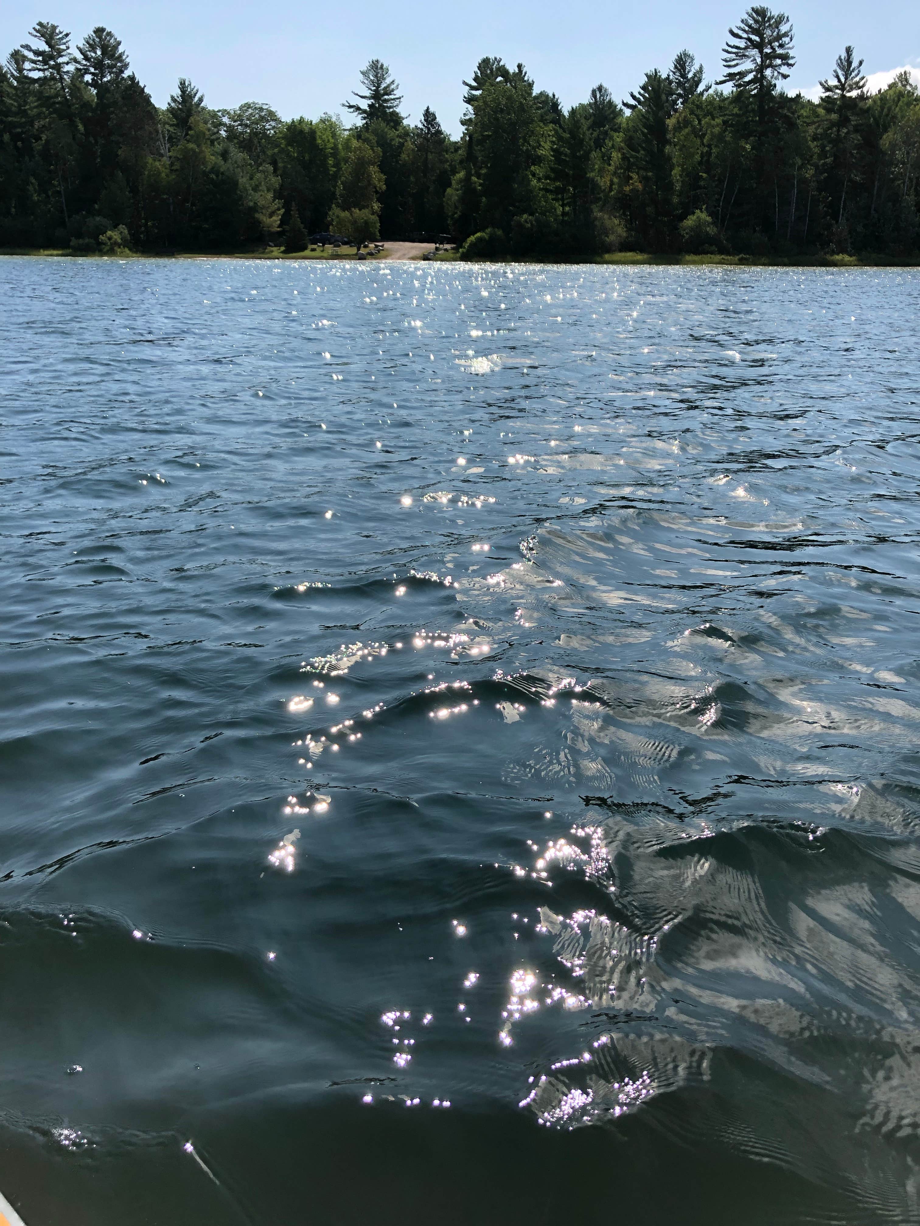 Camper submitted image from Pickerel Lake (Otsego) State Forest Campground - 3