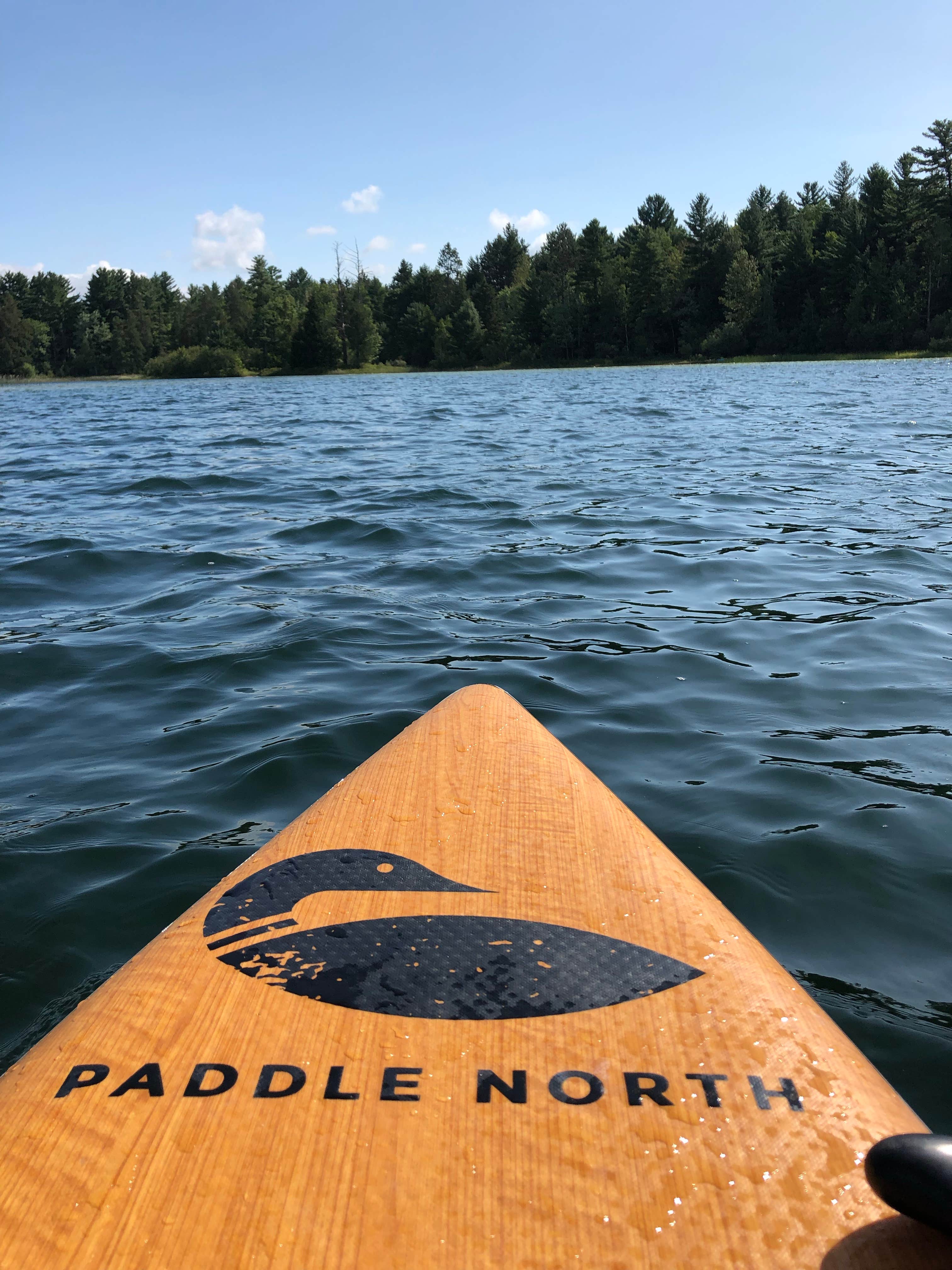 Camper submitted image from Pickerel Lake (Otsego) State Forest Campground - 5