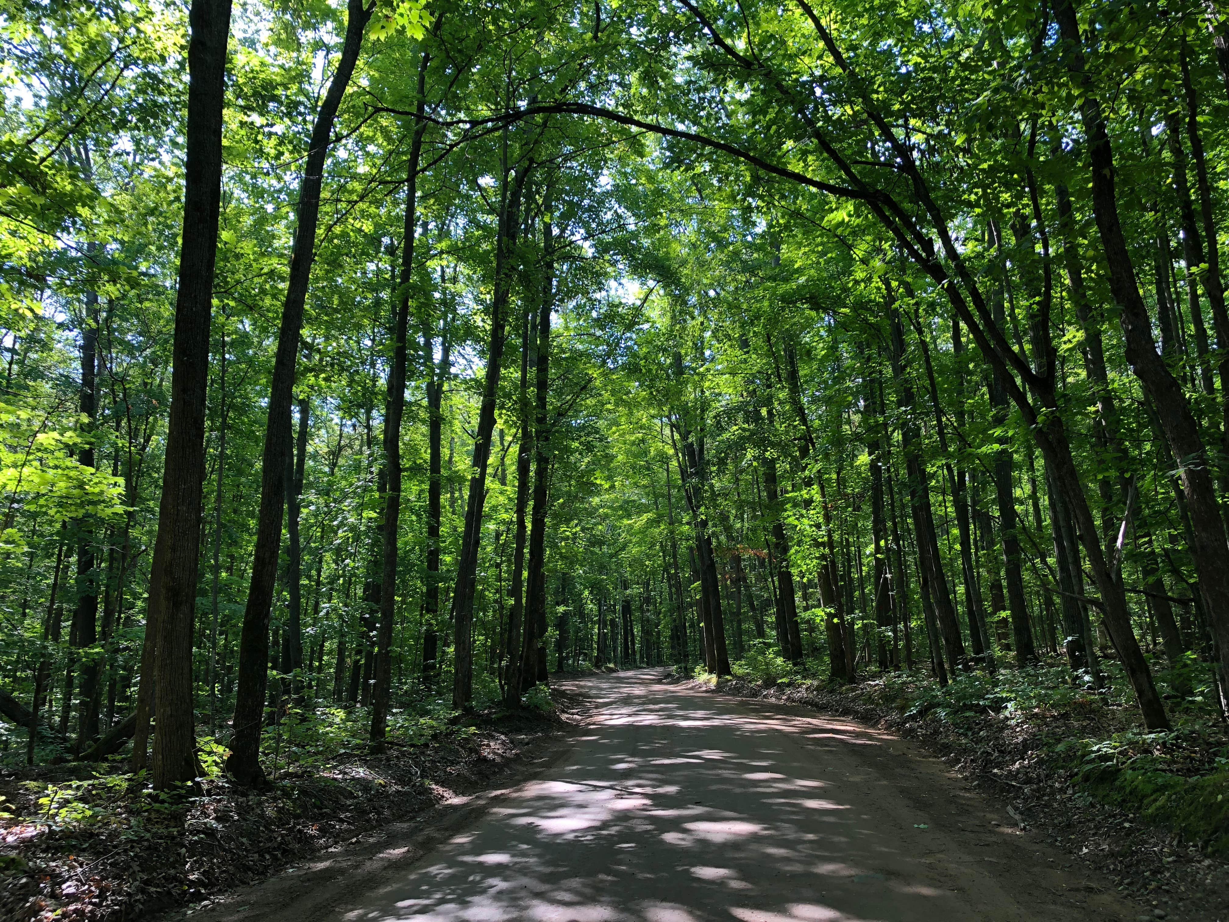 Camper-submitted photo at Pickerel Lake (Otsego) State Forest Campground near Johannesburg, MI