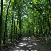 Review photo of Pickerel Lake (Otsego) State Forest Campground by Kate K., August 20, 2019