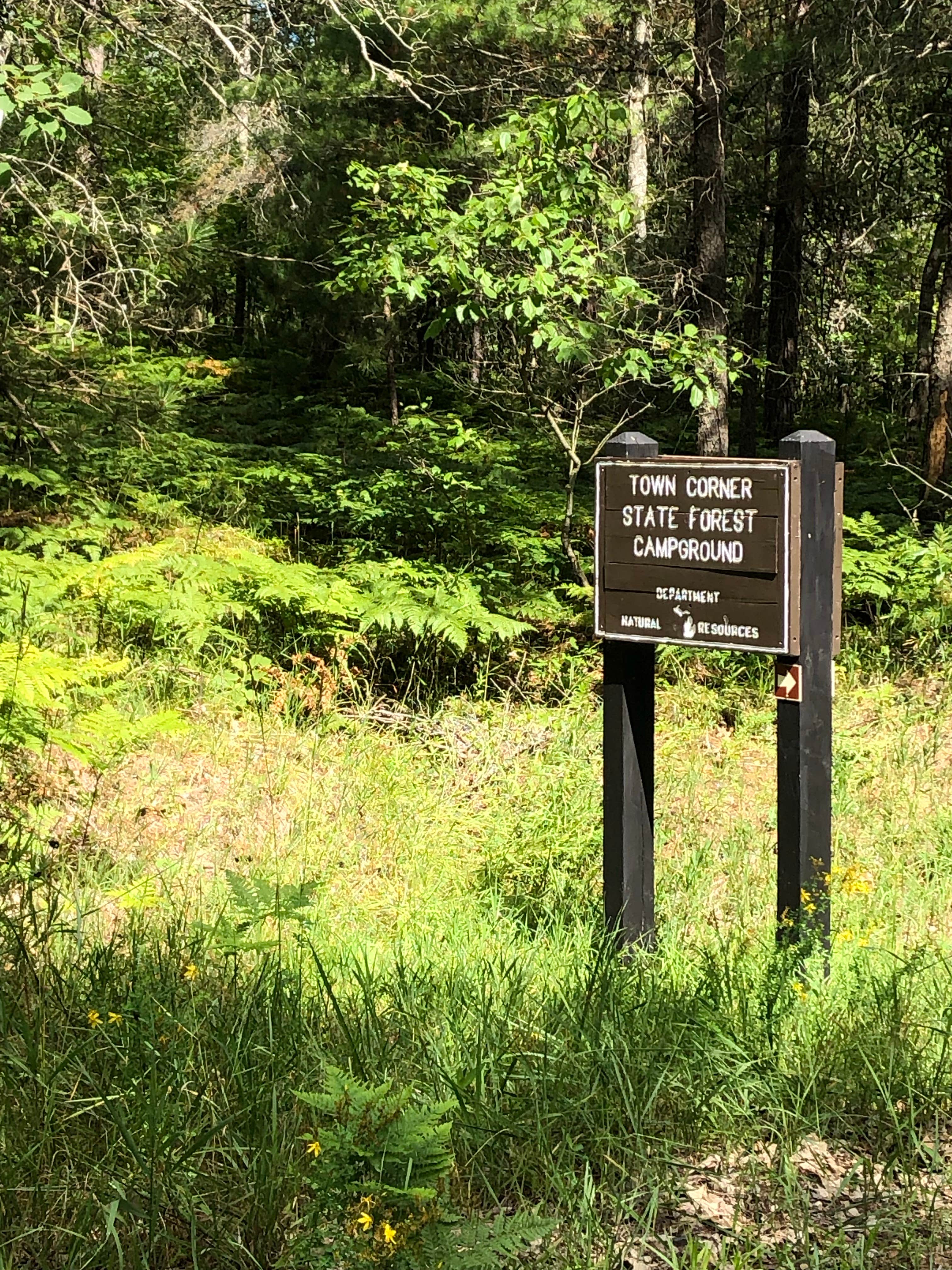 Camper submitted image from Town Corner Lake State Forest Campground - 3