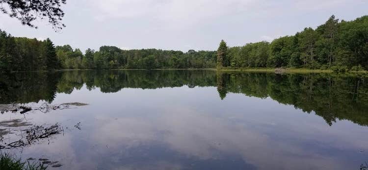 Camper submitted image from Town Corner Lake State Forest Campground - 4