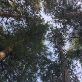 Review photo of Town Corner Lake State Forest Campground by Kate K., August 20, 2019