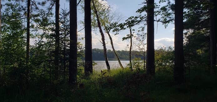 Camper submitted image from Jackson Lake State Forest Campground - 5