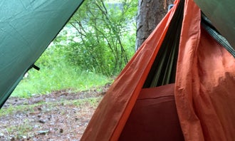 Camping near Mackinaw/Ess Lake: Jackson Lake State Forest Campground, Atlanta, Michigan