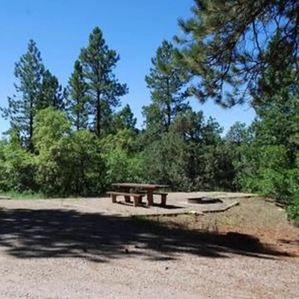 Target Tree Campground