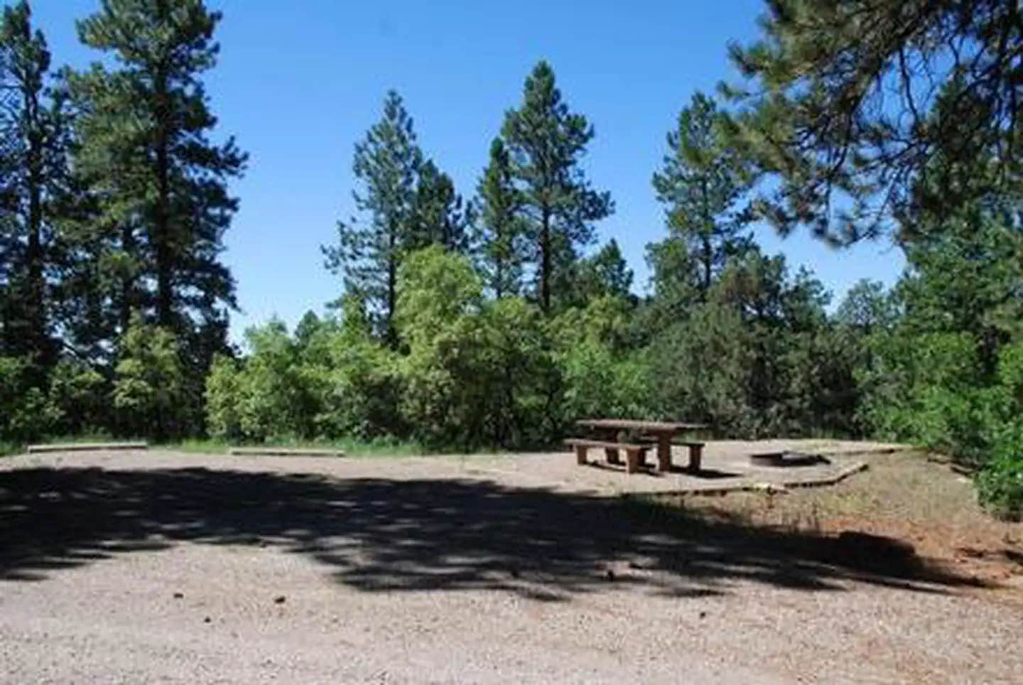 Camper submitted image from Target Tree Campground - 1