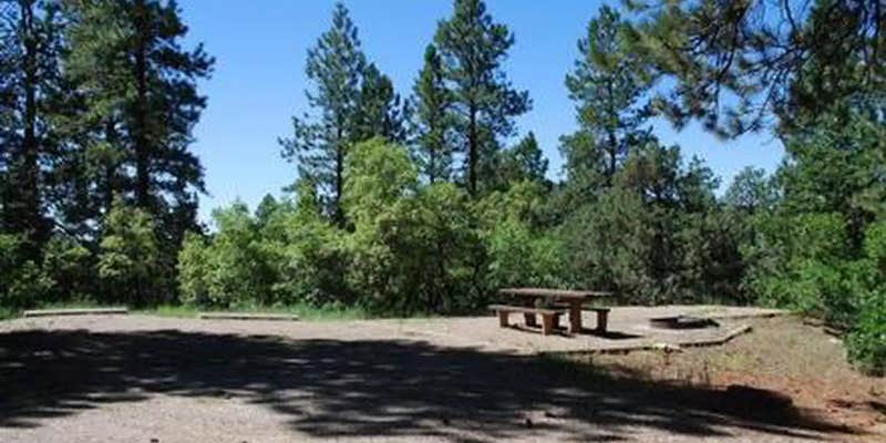 Camper submitted image from Target Tree Campground