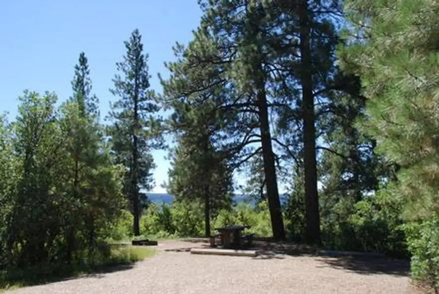 Camper-submitted photo at Target Tree Campground near Kirtland, NM