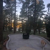 Review photo of Fool Hollow Lake Recreation Area Campground by Melissa S., August 20, 2019