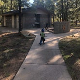 Review photo of Fool Hollow Lake Recreation Area Campground by Melissa S., August 20, 2019
