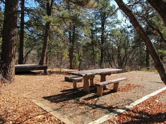 Camper-submitted photo at Target Tree Campground near Kirtland, NM