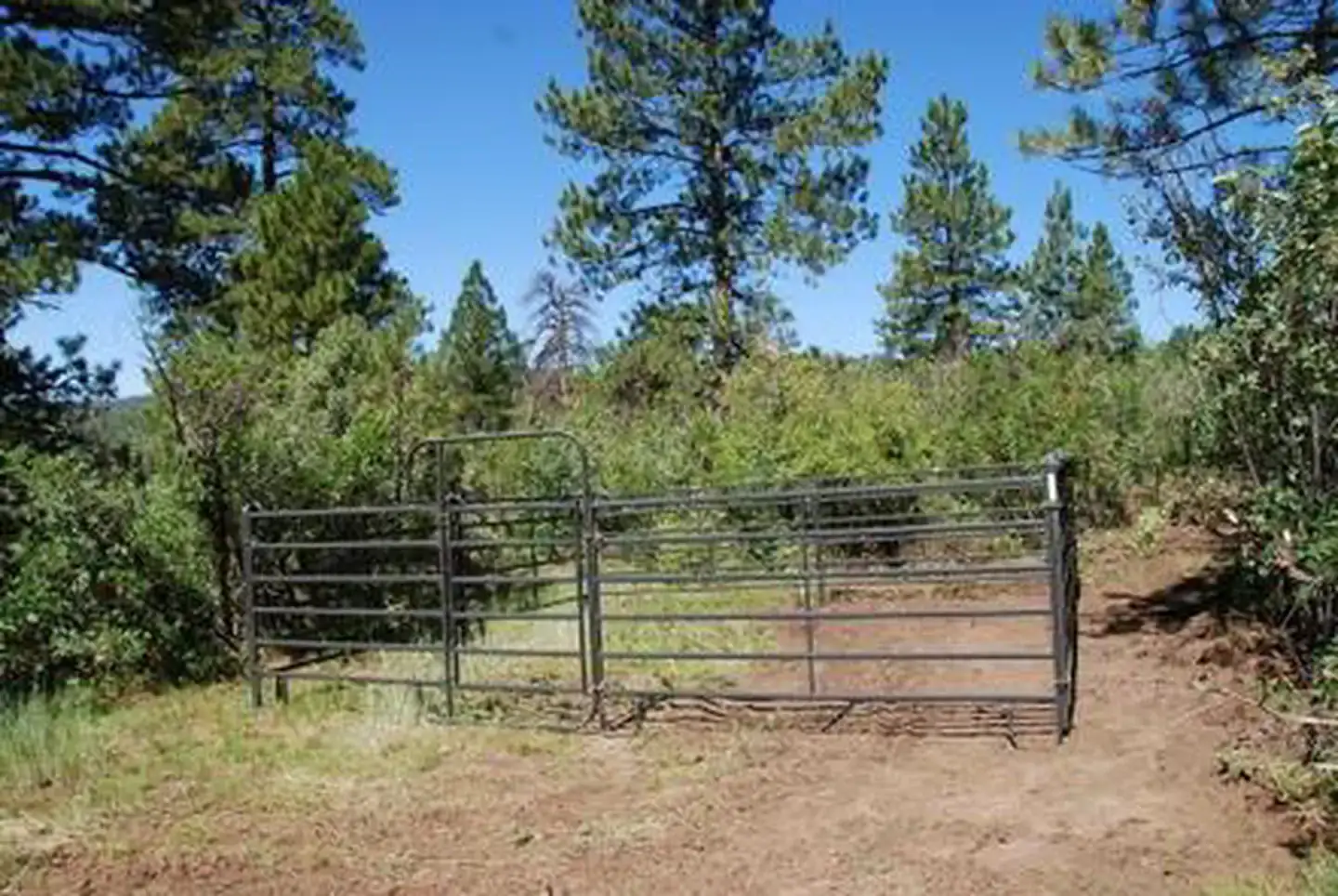 Camper-submitted photo at Target Tree Campground near Kirtland, NM