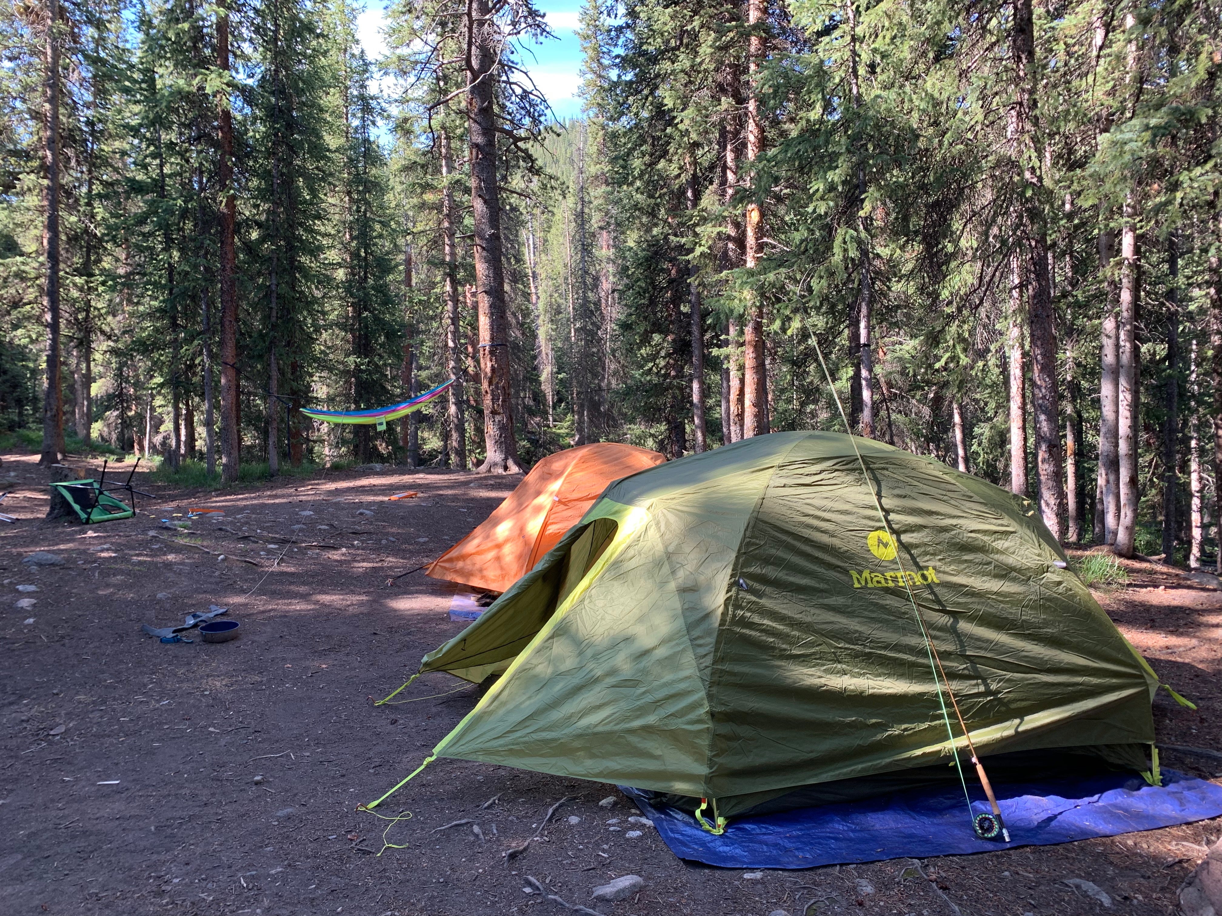 Camper submitted image from Lost Man Campground - 3