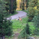 Review photo of Lost Man Campground by Robbie B., August 20, 2019