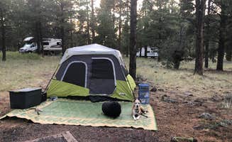 Melissa S.'s photo at Kaibab National Forest Kaibab Lake Campground near Williams, AZ