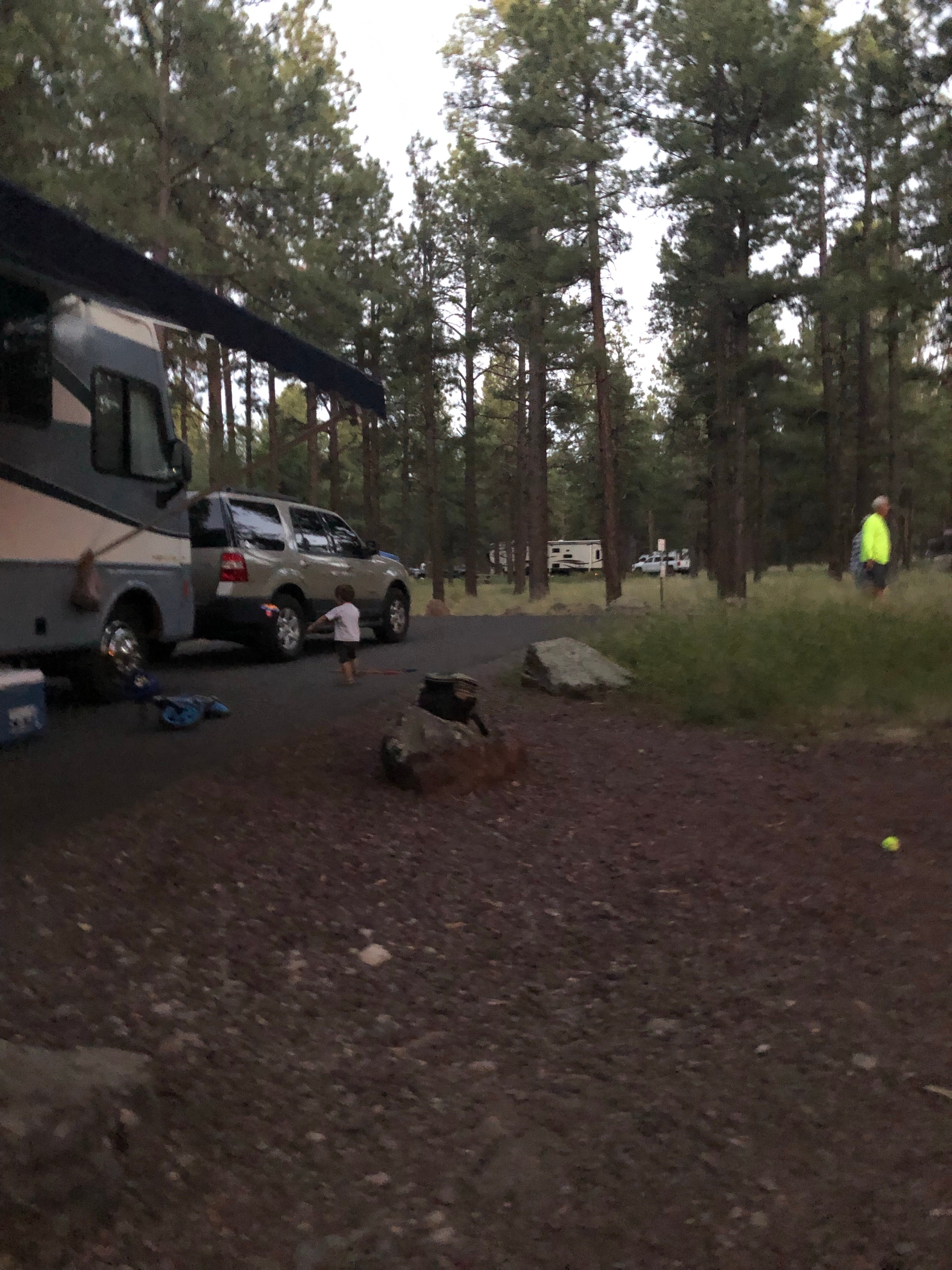 Camper submitted image from Kaibab National Forest Kaibab Lake Campground - 5