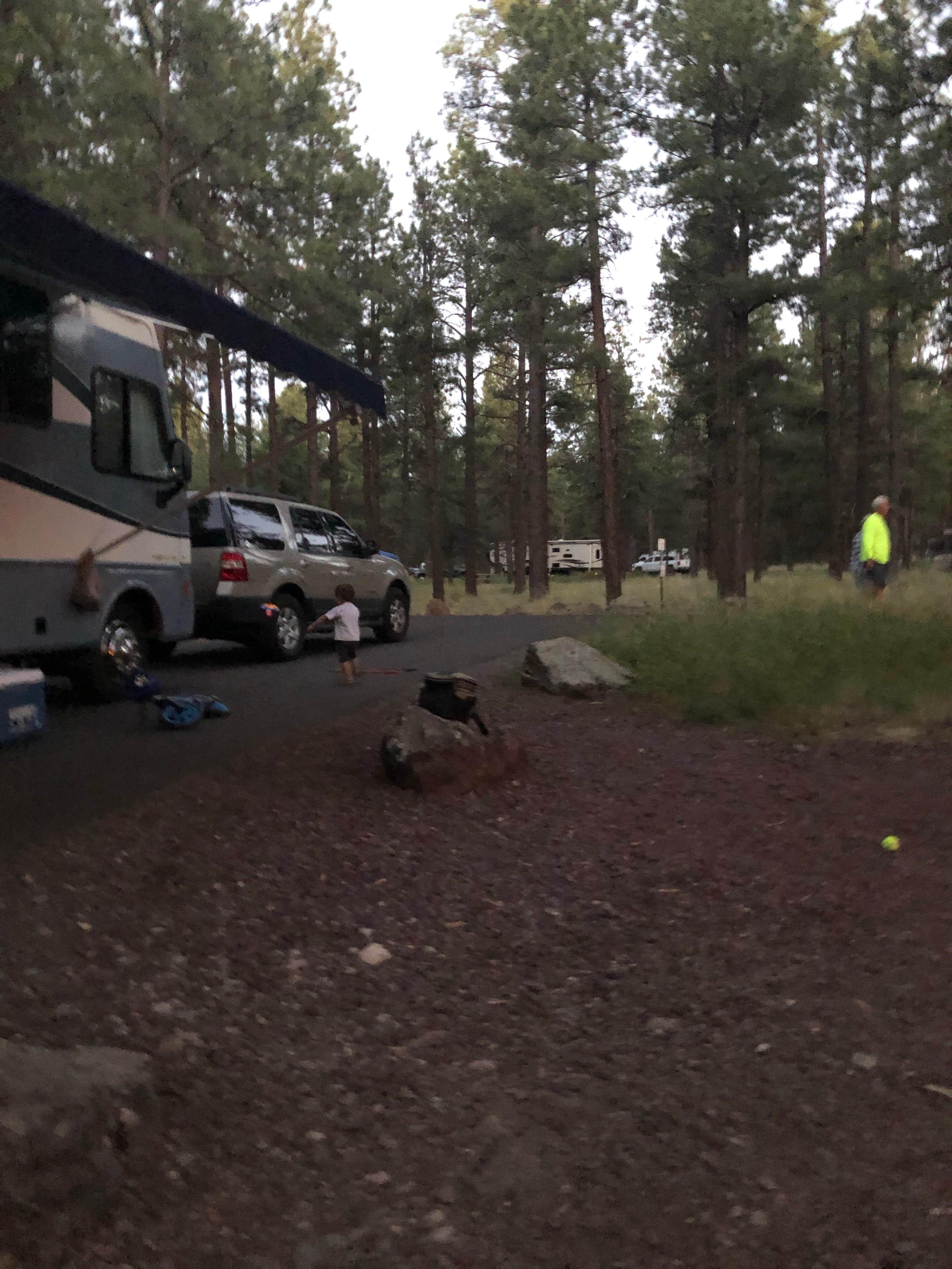 Camper submitted image from Kaibab National Forest Kaibab Lake Campground - 2