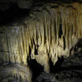 Review photo of Mammoth Cave Campground — Mammoth Cave National Park by Michael K., June 9, 2016