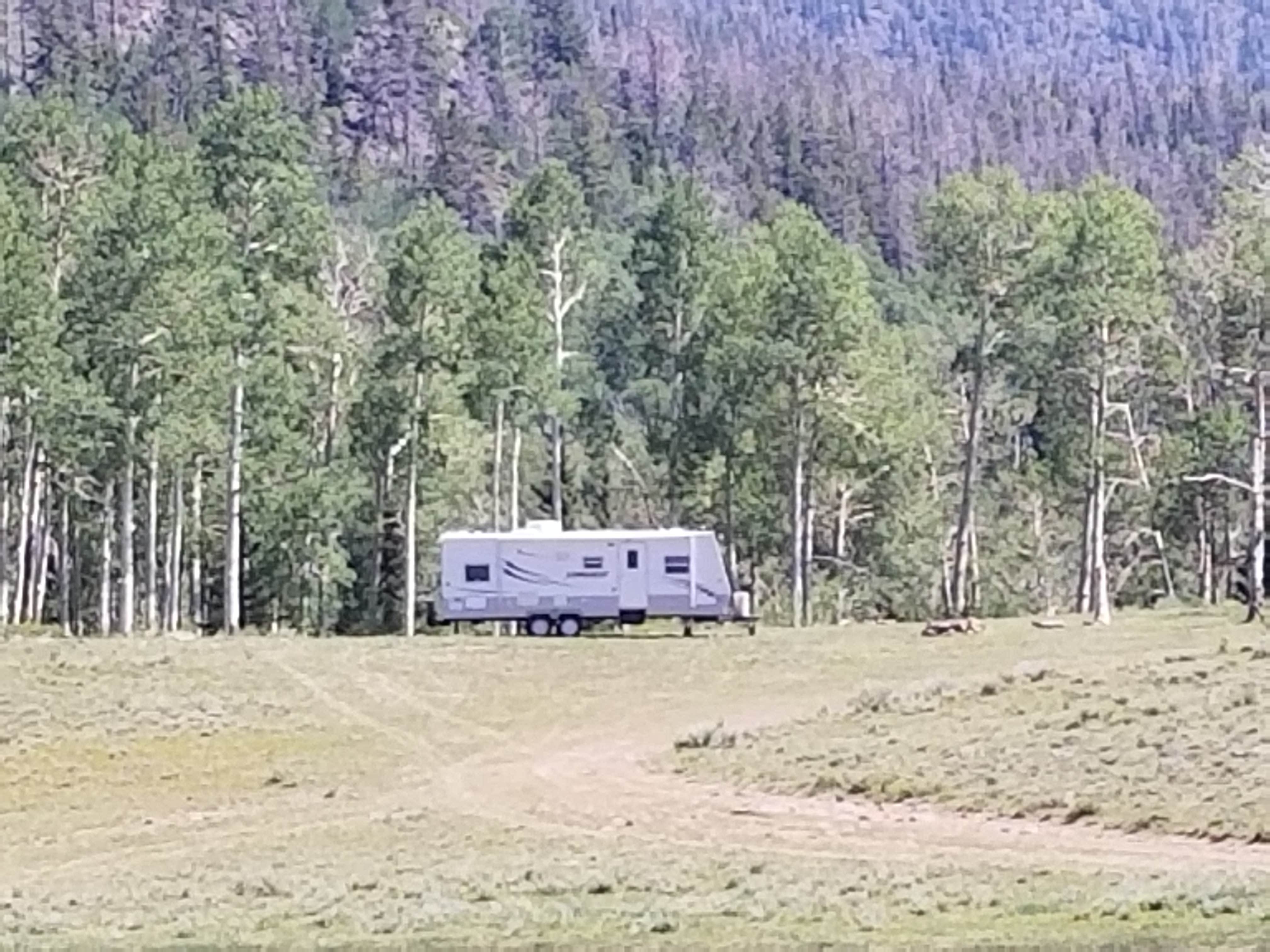 Camper-submitted photo at Black Flat Cua Dispersed near Sigurd, UT