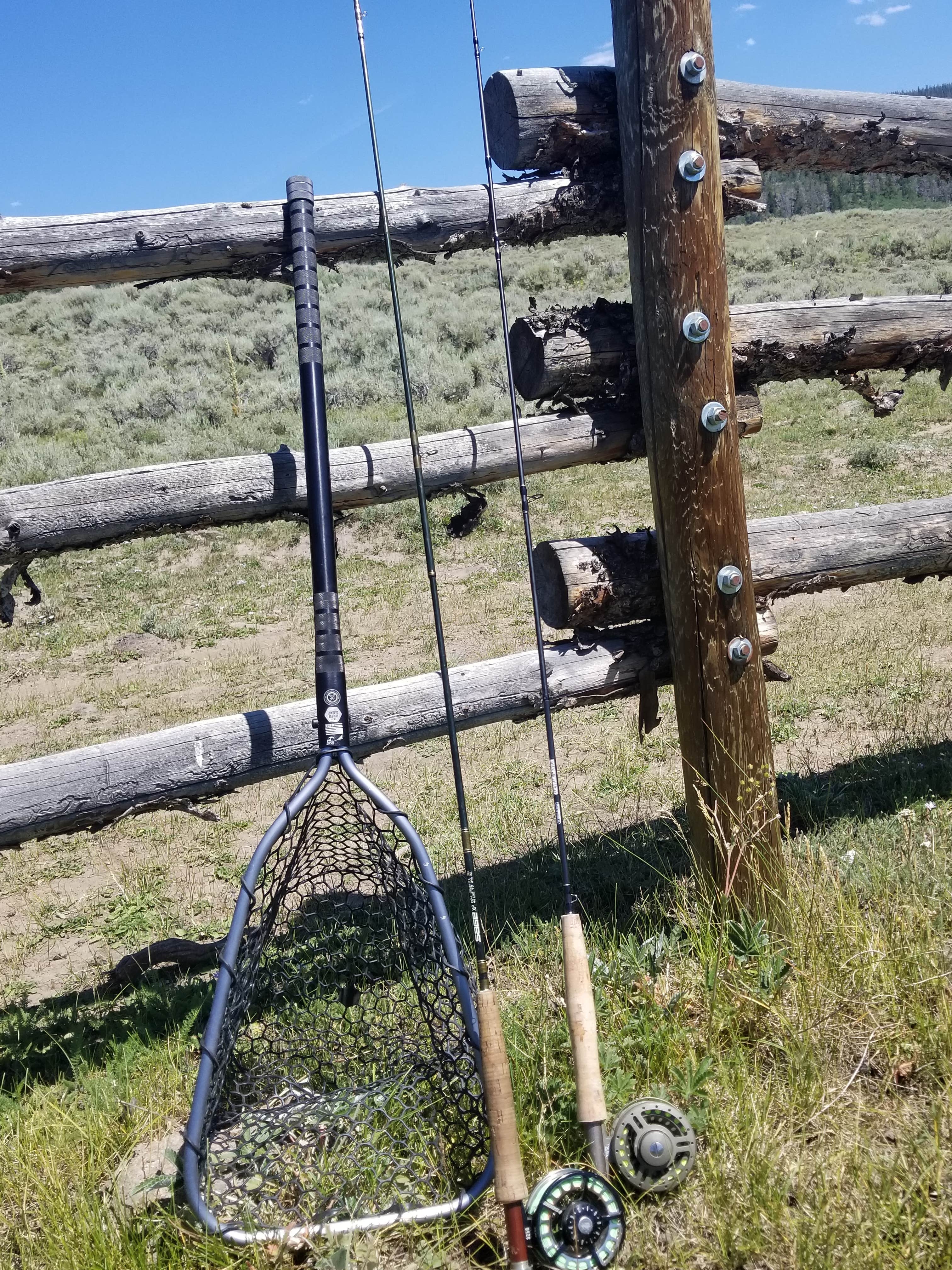 Black Flat Cua Dispersed