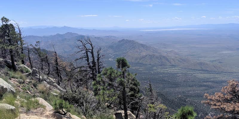 Camper submitted image from Cunningham Campground